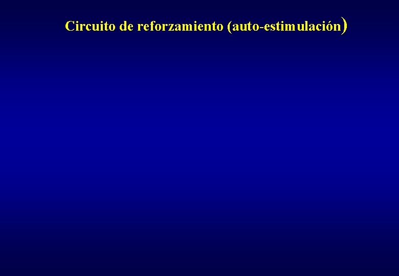 Circuito de reforzamiento (auto-estimulación) 