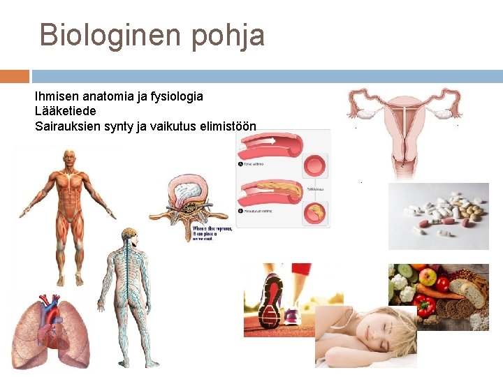 Biologinen pohja Ihmisen anatomia ja fysiologia Lääketiede Sairauksien synty ja vaikutus elimistöön 