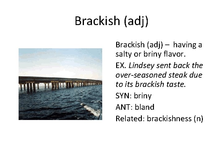 Brackish (adj) – having a salty or briny flavor. EX. Lindsey sent back the