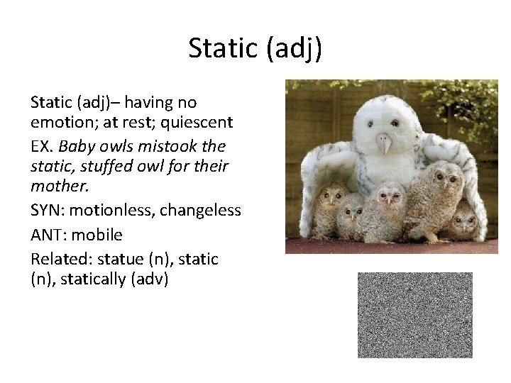 Static (adj)– having no emotion; at rest; quiescent EX. Baby owls mistook the static,