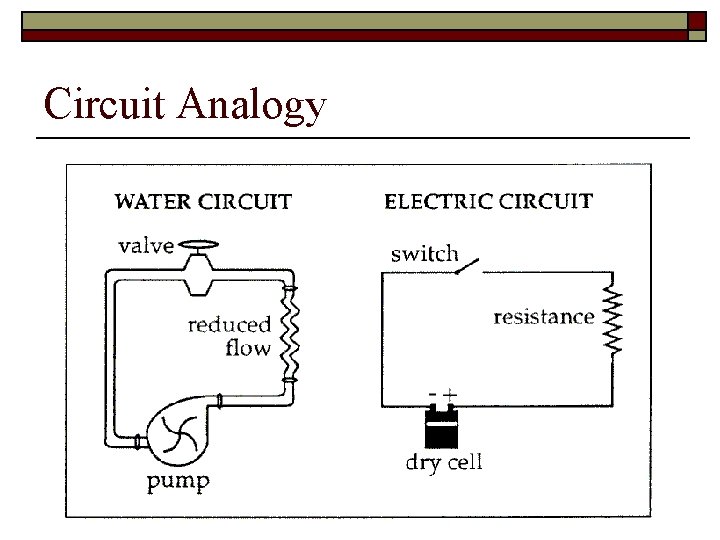 Circuit Analogy 