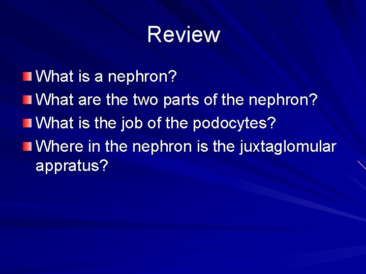Review What is a nephron? What are the two parts of the nephron? What