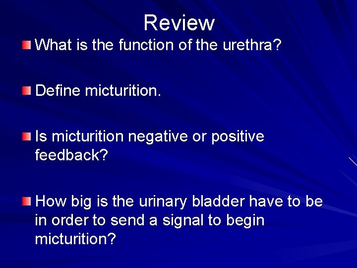 Review What is the function of the urethra? Define micturition. Is micturition negative or