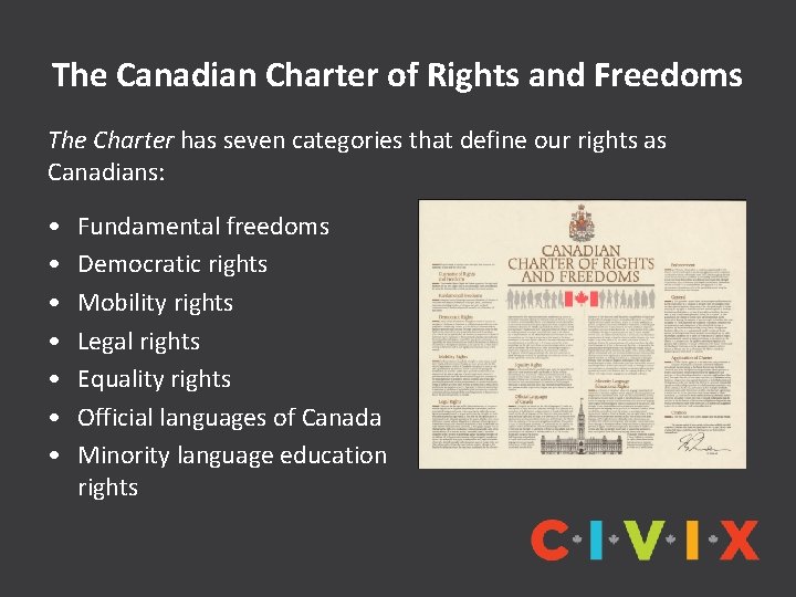 The Canadian Charter of Rights and Freedoms The Charter has seven categories that define