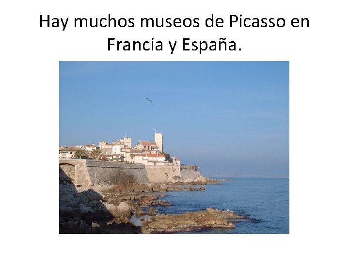 Hay muchos museos de Picasso en Francia y España. 