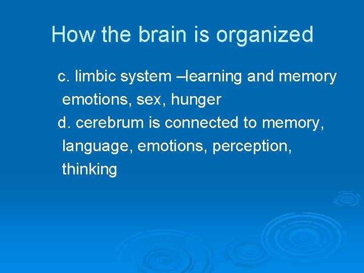 How the brain is organized c. limbic system –learning and memory emotions, sex, hunger