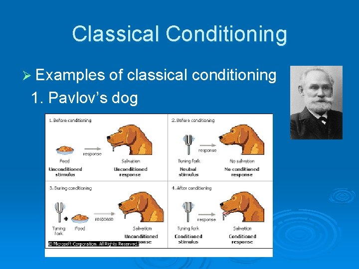 Classical Conditioning Ø Examples of classical conditioning 1. Pavlov’s dog 