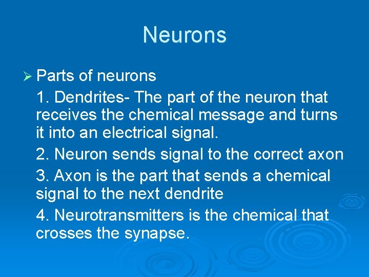 Neurons Ø Parts of neurons 1. Dendrites- The part of the neuron that receives