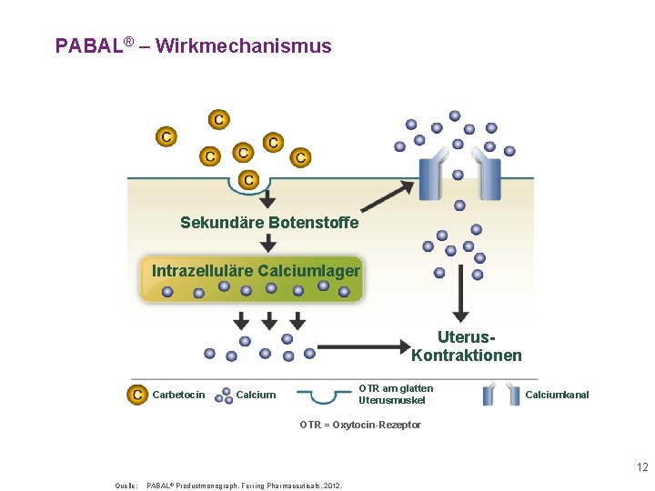 PABAL® – Wirkmechanismus Sekundäre Botenstoffe Intrazelluläre Calciumlager Uterus. Kontraktionen Carbetocin OTR am glatten Uterusmuskel