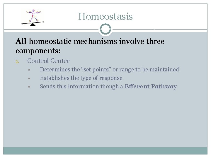 Homeostasis All homeostatic mechanisms involve three components: 2. Control Center § § § Determines