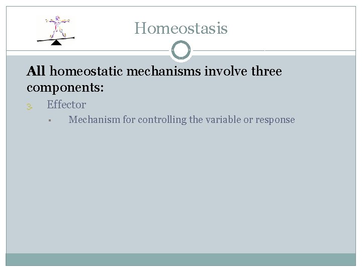 Homeostasis All homeostatic mechanisms involve three components: 3. Effector § Mechanism for controlling the