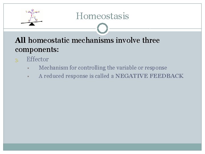 Homeostasis All homeostatic mechanisms involve three components: 3. Effector § § Mechanism for controlling