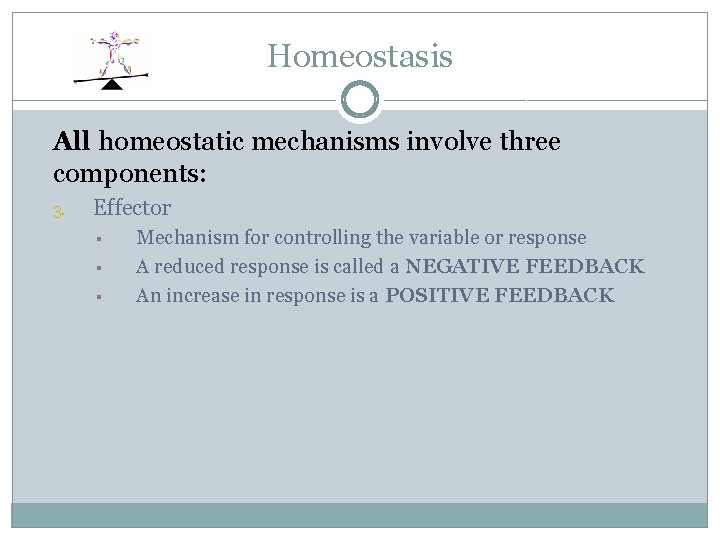 Homeostasis All homeostatic mechanisms involve three components: 3. Effector § § § Mechanism for