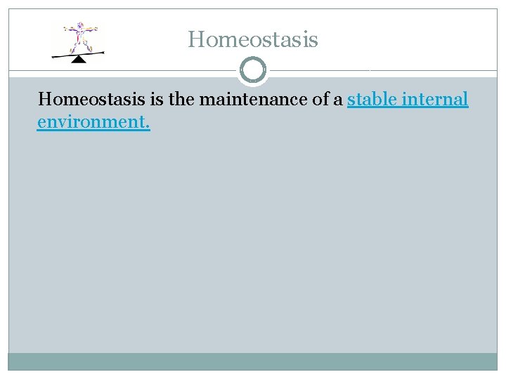 Homeostasis is the maintenance of a stable internal environment. 