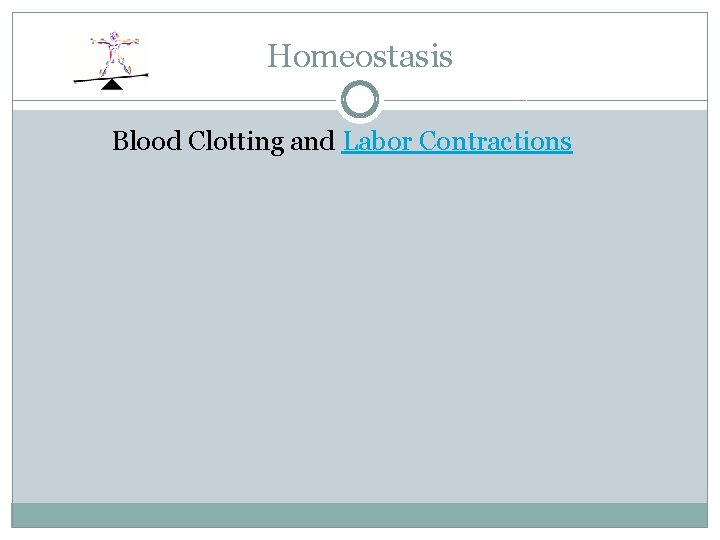 Homeostasis Blood Clotting and Labor Contractions 