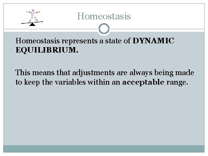 Homeostasis represents a state of DYNAMIC EQUILIBRIUM. This means that adjustments are always being