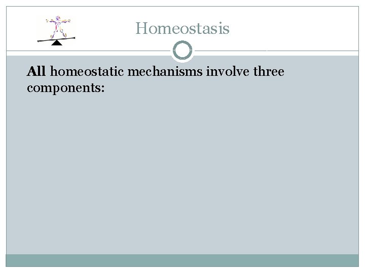 Homeostasis All homeostatic mechanisms involve three components: 