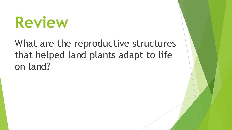 Review What are the reproductive structures that helped land plants adapt to life on