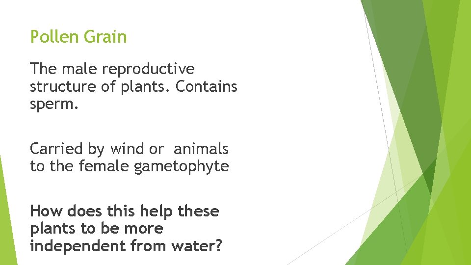 Pollen Grain The male reproductive structure of plants. Contains sperm. Carried by wind or