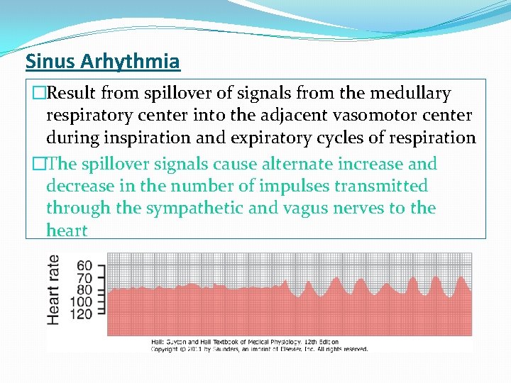 Sinus Arhythmia �Result from spillover of signals from the medullary respiratory center into the