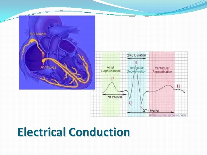 Electrical Conduction 