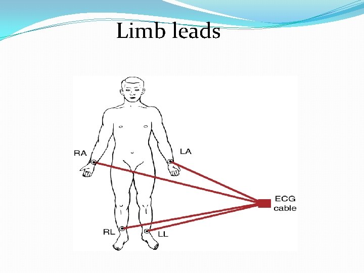 Limb leads 