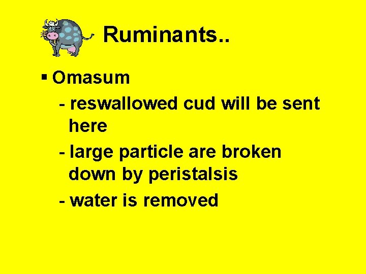 Ruminants. . § Omasum - reswallowed cud will be sent here - large particle