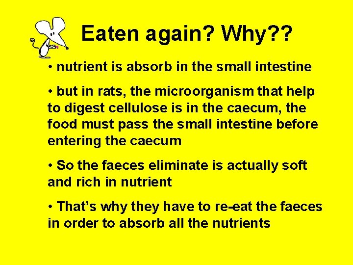 Eaten again? Why? ? • nutrient is absorb in the small intestine • but