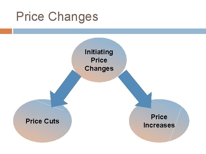 Price Changes Initiating Price Changes Price Cuts Price Increases 