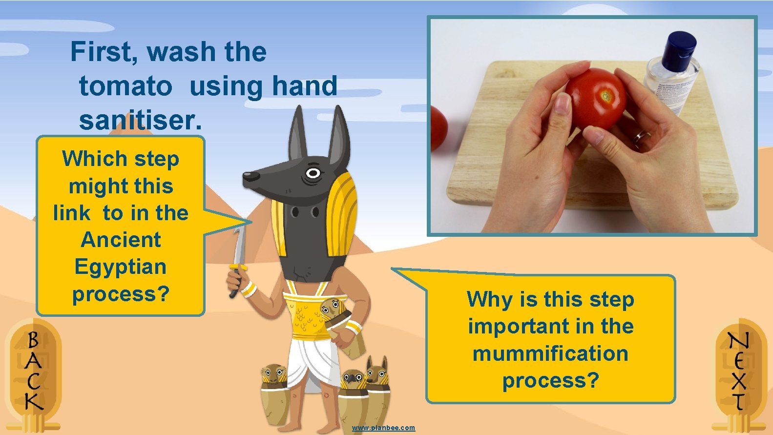 First, wash the tomato using hand sanitiser. Which step might this link to in