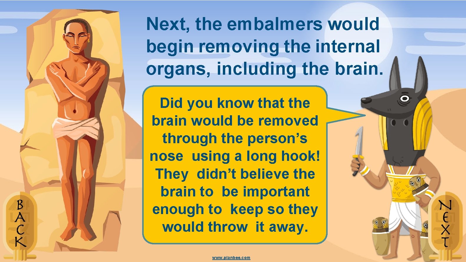 Next, the embalmers would begin removing the internal organs, including the brain. Did you
