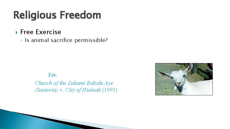 Religious Freedom Free Exercise ◦ Is animal sacrifice permissible? Yes. Church of the Lukumi