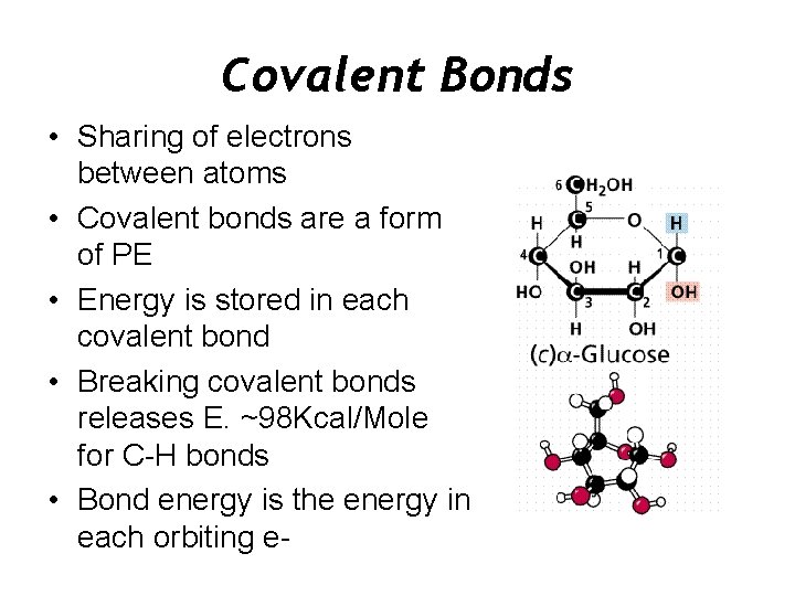 Covalent Bonds • Sharing of electrons between atoms • Covalent bonds are a form