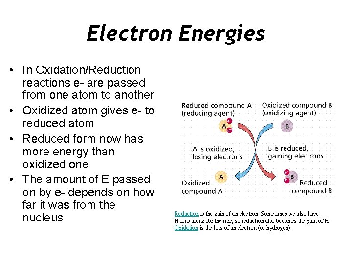Electron Energies • In Oxidation/Reduction reactions e- are passed from one atom to another