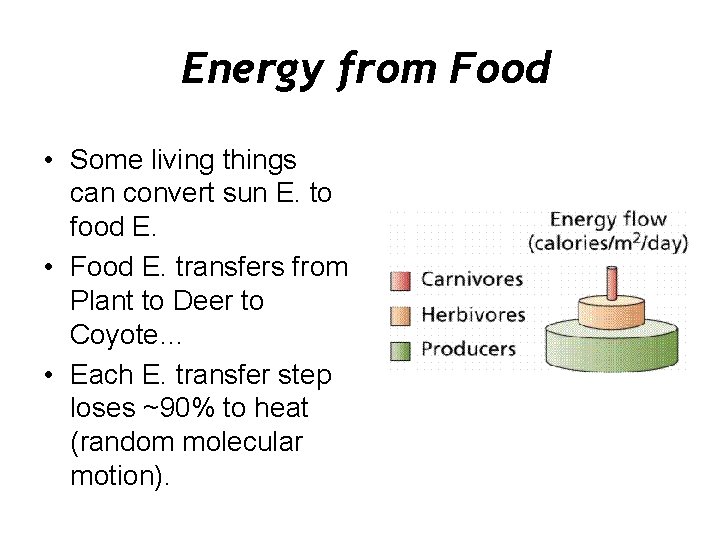 Energy from Food • Some living things can convert sun E. to food E.
