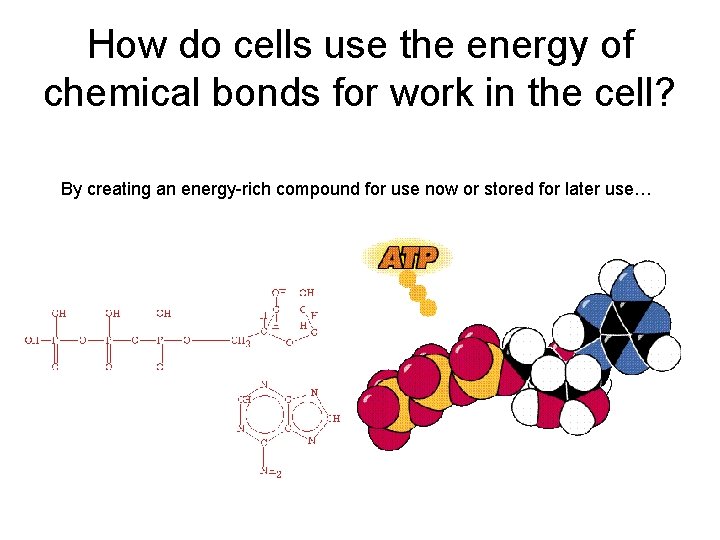 How do cells use the energy of chemical bonds for work in the cell?