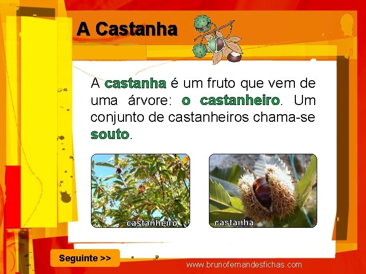 A Castanha A castanha é um fruto que vem de uma árvore: o castanheiro.