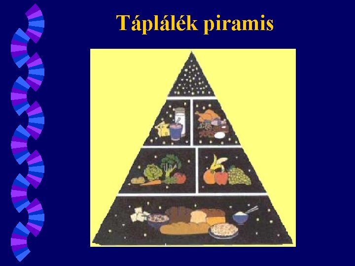 Táplálék piramis 