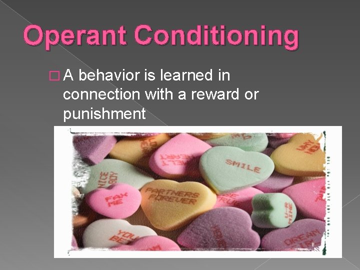 Operant Conditioning �A behavior is learned in connection with a reward or punishment 