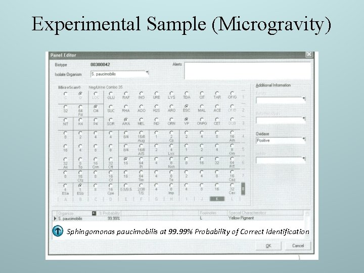 Experimental Sample (Microgravity) Sphingomonas paucimobilis at 99. 99% Probability of Correct Identification 