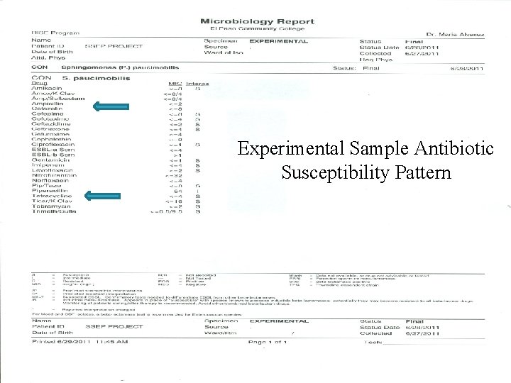 Experimental Sample Antibiotic Susceptibility Pattern 