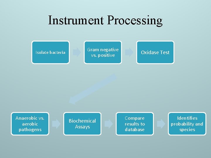 Instrument Processing Isolate bacteria Anaerobic vs. aerobic pathogens Gram negative vs. positive Biochemical Assays