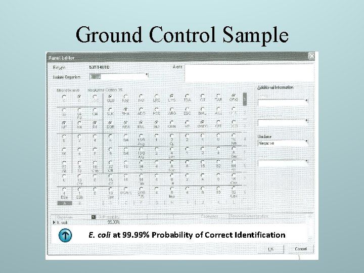 Ground Control Sample E. coli at 99. 99% Probability of Correct Identification 