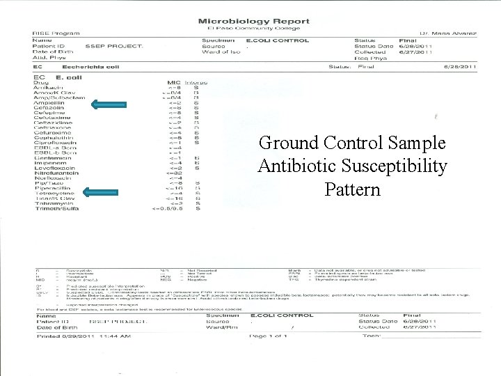 Ground Control Sample Antibiotic Susceptibility Pattern 
