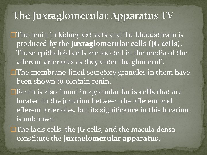 The Juxtaglomerular Apparatus TV �The renin in kidney extracts and the bloodstream is produced