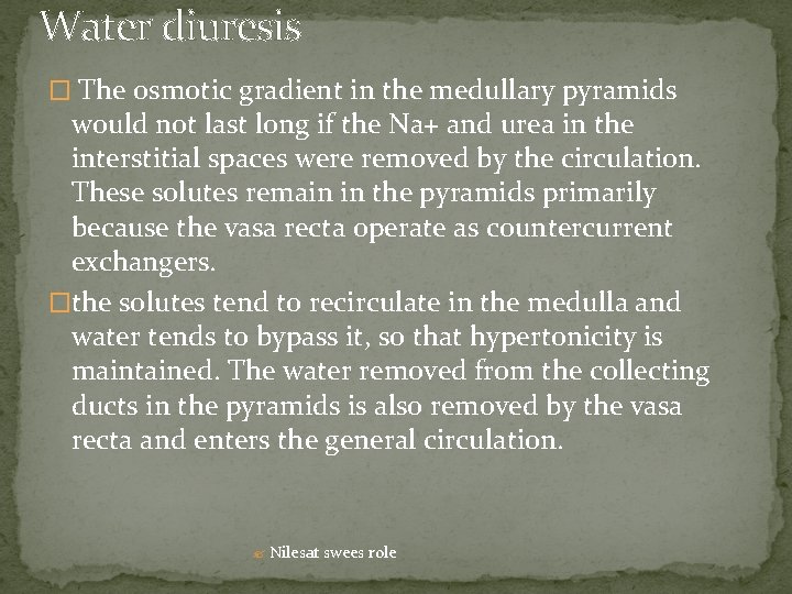 Water diuresis � The osmotic gradient in the medullary pyramids would not last long