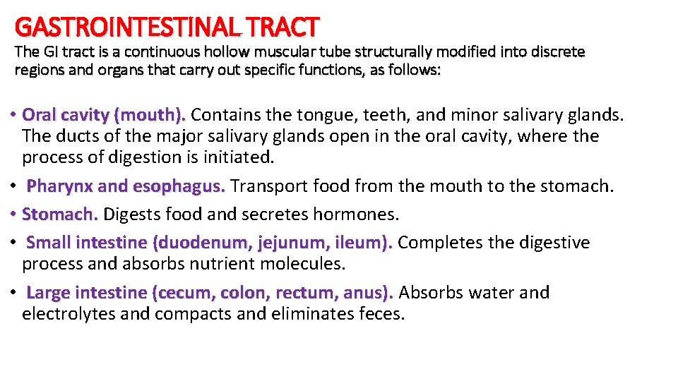 GASTROINTESTINAL TRACT The GI tract is a continuous hollow muscular tube structurally modified into