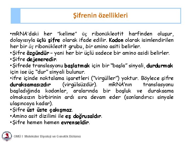 Şifrenin özellikleri • m. RNA’daki her “kelime” üç ribonükleotit harfinden oluşur, dolayısıyla üçlü şifre