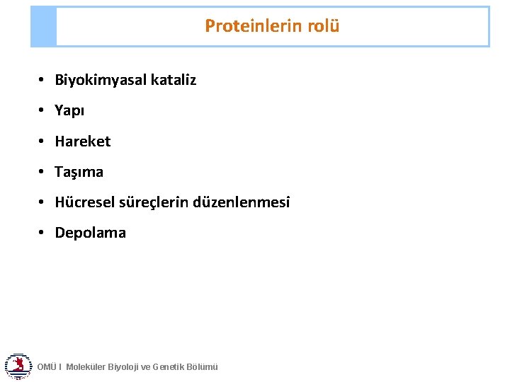 Proteinlerin rolü • Biyokimyasal kataliz • Yapı • Hareket • Taşıma • Hücresel süreçlerin