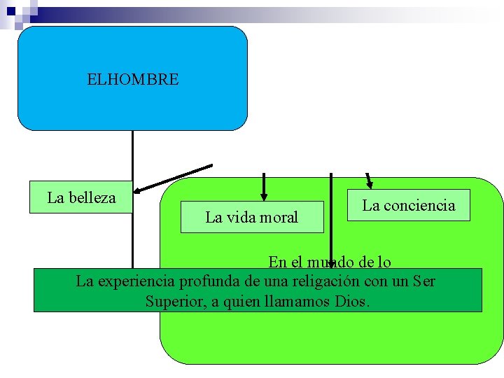 ELHOMBRE La belleza La vida moral La conciencia En el mundo de lo La